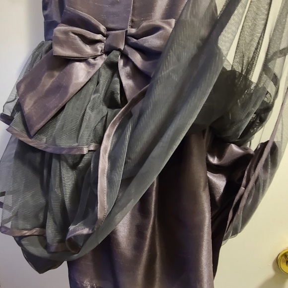 🥁2/$35 4-5 yrs-Heirloom gray tulle list - Picture 9 of 15